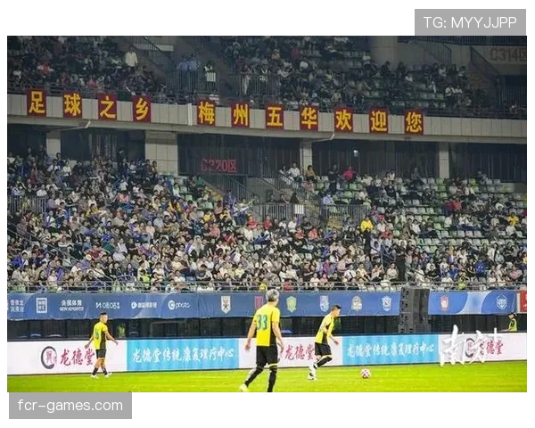 非洲杯2025新东道主揭晓，球迷热议期待足球盛宴